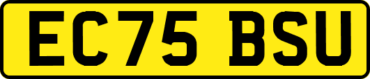 EC75BSU