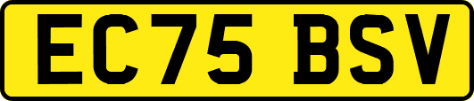 EC75BSV