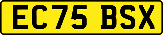 EC75BSX