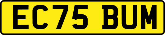 EC75BUM