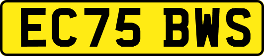 EC75BWS