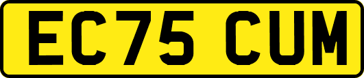 EC75CUM