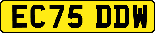 EC75DDW