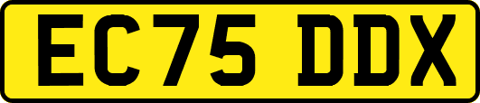 EC75DDX