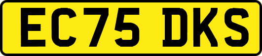 EC75DKS