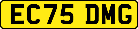 EC75DMG