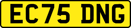 EC75DNG