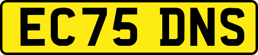 EC75DNS