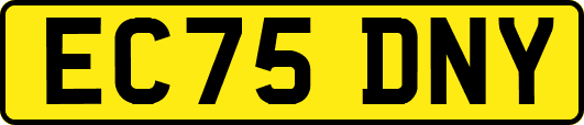EC75DNY