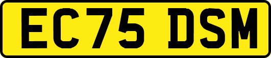 EC75DSM