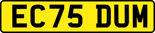 EC75DUM
