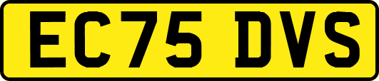 EC75DVS