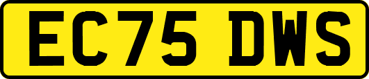 EC75DWS