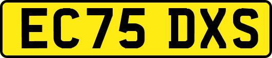 EC75DXS