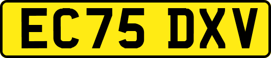 EC75DXV