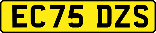 EC75DZS