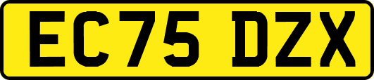 EC75DZX