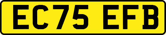 EC75EFB