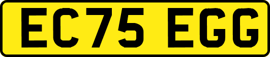 EC75EGG