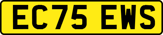 EC75EWS