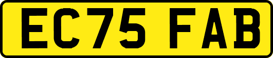 EC75FAB