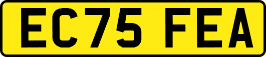 EC75FEA