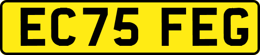 EC75FEG