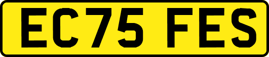 EC75FES