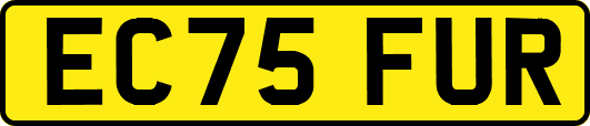 EC75FUR