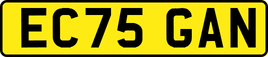 EC75GAN