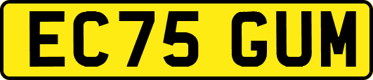 EC75GUM