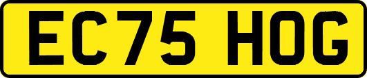 EC75HOG