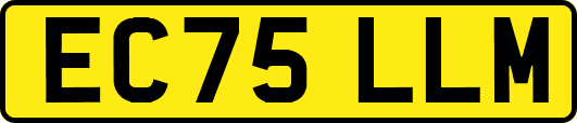 EC75LLM