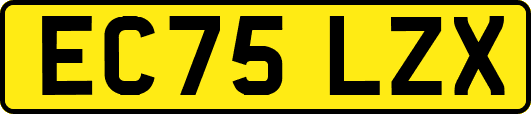 EC75LZX
