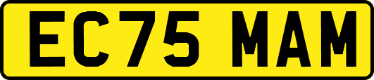 EC75MAM