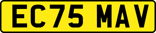 EC75MAV