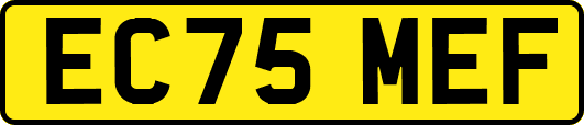 EC75MEF
