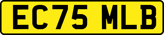 EC75MLB