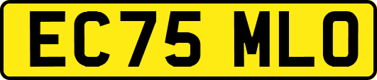 EC75MLO
