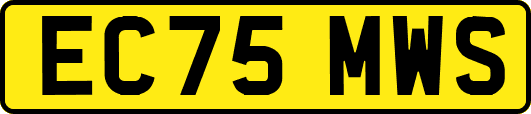EC75MWS