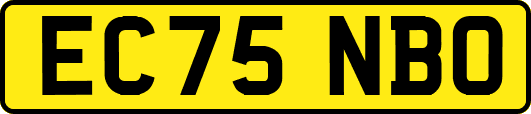 EC75NBO