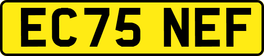EC75NEF