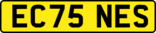 EC75NES
