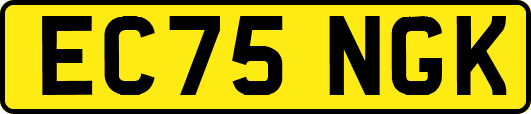 EC75NGK