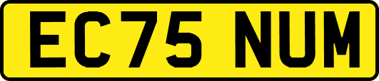 EC75NUM