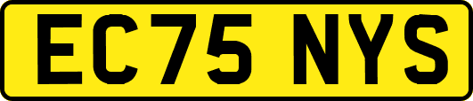 EC75NYS