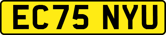 EC75NYU