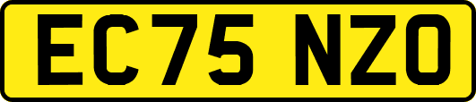 EC75NZO