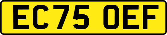 EC75OEF