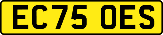 EC75OES